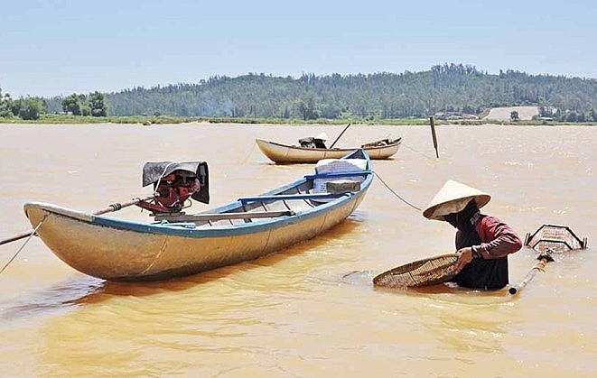 Công việc bắt loài nhuyễn thể tý hon đặc sản này cũng rất vất vả.