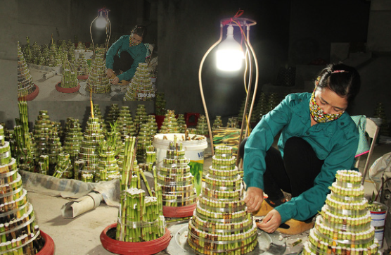 Những tháp phát lộc khi đã lên hình mà có cành bị héo úa thì người dân buộc phải tháo ra để thay thế bằng cành mới nên mất nhiều công sức, chi phí