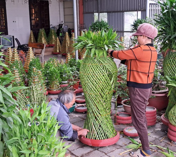 Vợ chồng ông Nghị phải mất nhiều công sức, tỉ mẩn chỉnh sửa chậu lộc bình phát lộc khi có cành bị hỏng phải thay