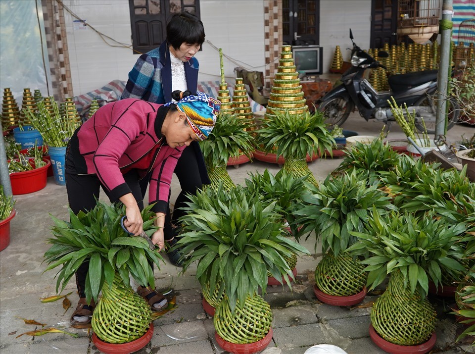 sản phẩm phát lộc được ưa chuộng mỗi dịp Tết
