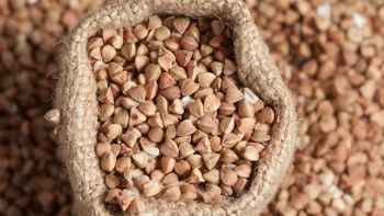 Những loại hạt, củ khi mọc mầm lại càng bổ dưỡng, nhiều người không biết lại vứt bỏ