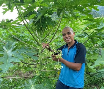 Người ta trồng cây này lấy quả, 8x Hòa Bình vặt hoa đem bán cả triệu đồng/kg khô, bỏ túi trăm triệu mỗi năm