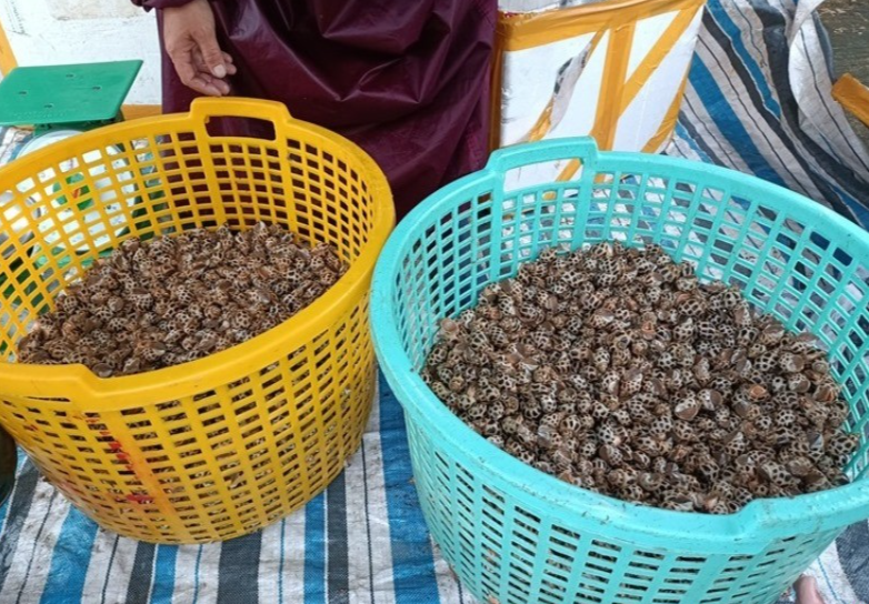 Mặc dù thời tiết không thuận lợi, mưa gió vất vả rét mướt nhưng nhóm thuyền đã thu về trên 40 triệu đồng