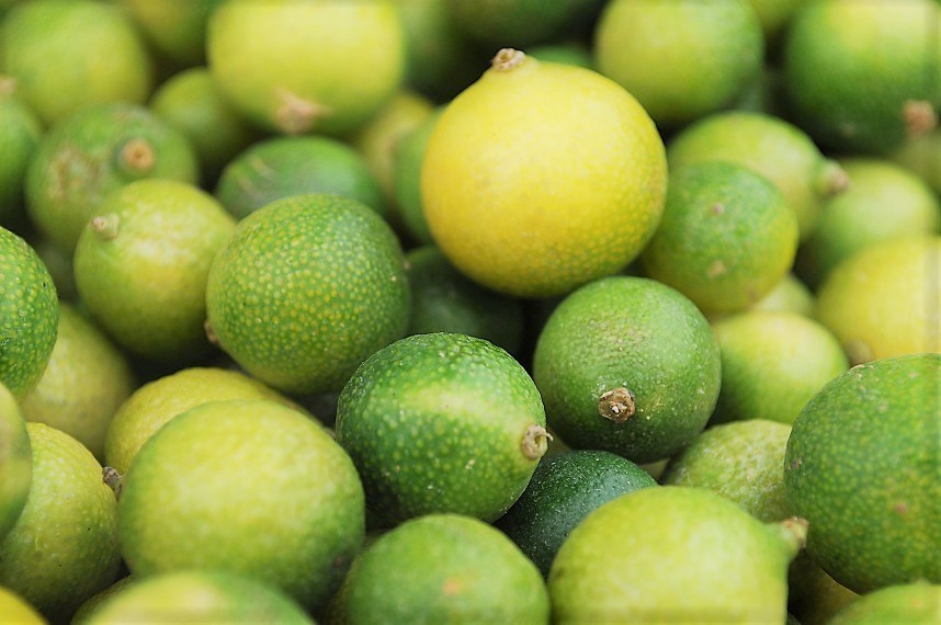 Quả chanh rừng Mẫu Sơn