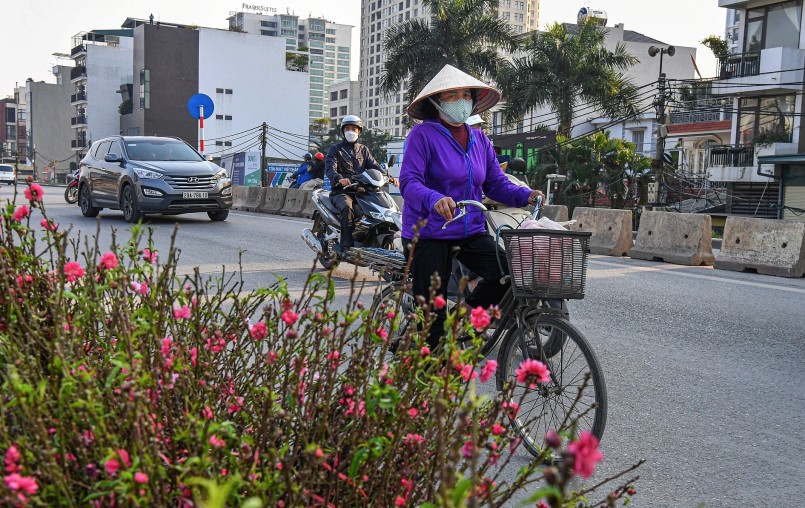 Những cành đào có giá từ vài chục nghìn đồng tới cả triệu đồng tùy theo kích cỡ được không ít người dân tới tìm mua.