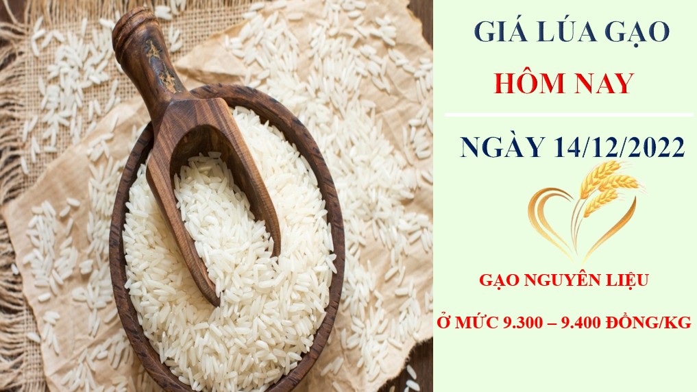 Giá lúa gạo hôm nay 14/12/2022: Giá gạo 5% xuất khẩu tăng 5 USD/tấn