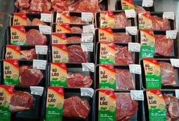 Bầu Đức chính thức bán bò Lào liệu có tạo cơn sốt như heo ăn chuối?