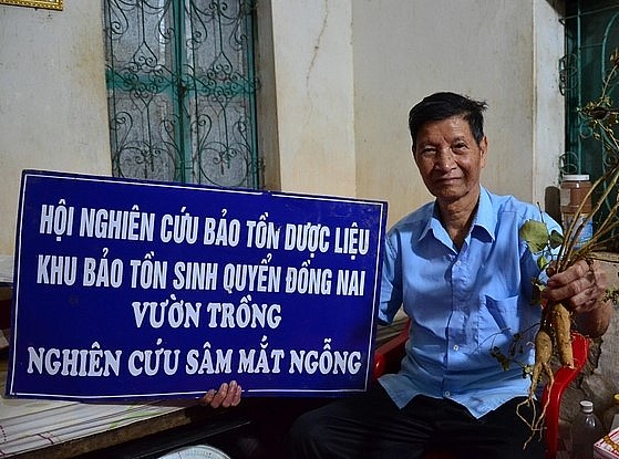 Ông Bùi Xuân Biền bên tấm biển Hội nghiên cứu bảo tồn dược liệu sâm Ẳng Bằng. Ảnh: Dương Đình Tường.