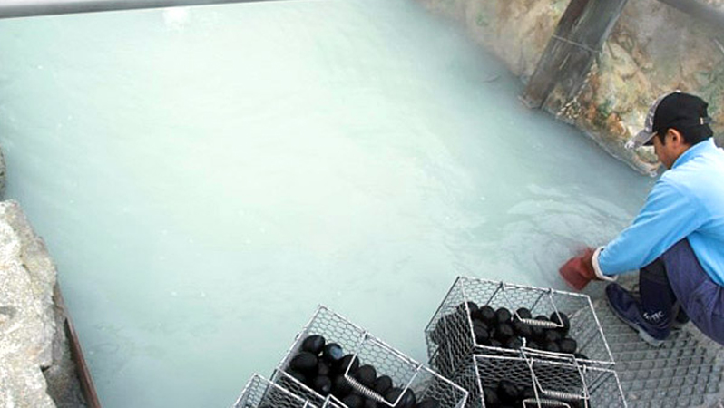 Loại trứng gà đen như "hòn than" được bán 200 nghìn/quả có gì đặc biệt? Loại trứng gà đen như "hòn than" được bán 200 nghìn/quả có gì đặc biệt?