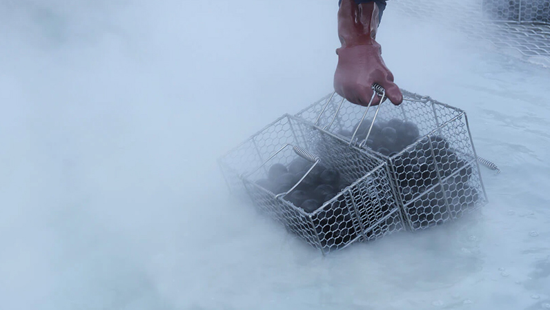 Loại trứng gà đen như "hòn than" được bán 200 nghìn/quả có gì đặc biệt? Loại trứng gà đen như "hòn than" được bán 200 nghìn/quả có gì đặc biệt?