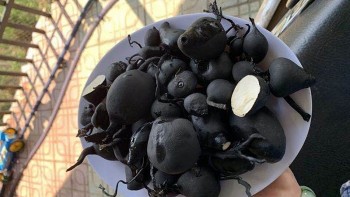 Gặp củ đen xì, xấu xí này chớ nhổ vất đi, chúng quý hiếm và “đắt hơn vàng ròng”