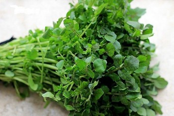 Thứ rau bán rẻ bèo ở chợ lại cực bổ dưỡng, ngừa được cả ung thư, càng rét ăn càng ngon, nhúng lẩu thì “hết nước chấm”