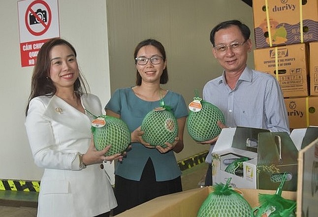 Để giải quyết đầu ra cho trái bưởi da xanh ở tỉnh Bến Tre thì vấn đề mở rộng thị trường xuất khẩu ra nhiều nước trên thế giới cần được quan tâm, đẩy mạnh.