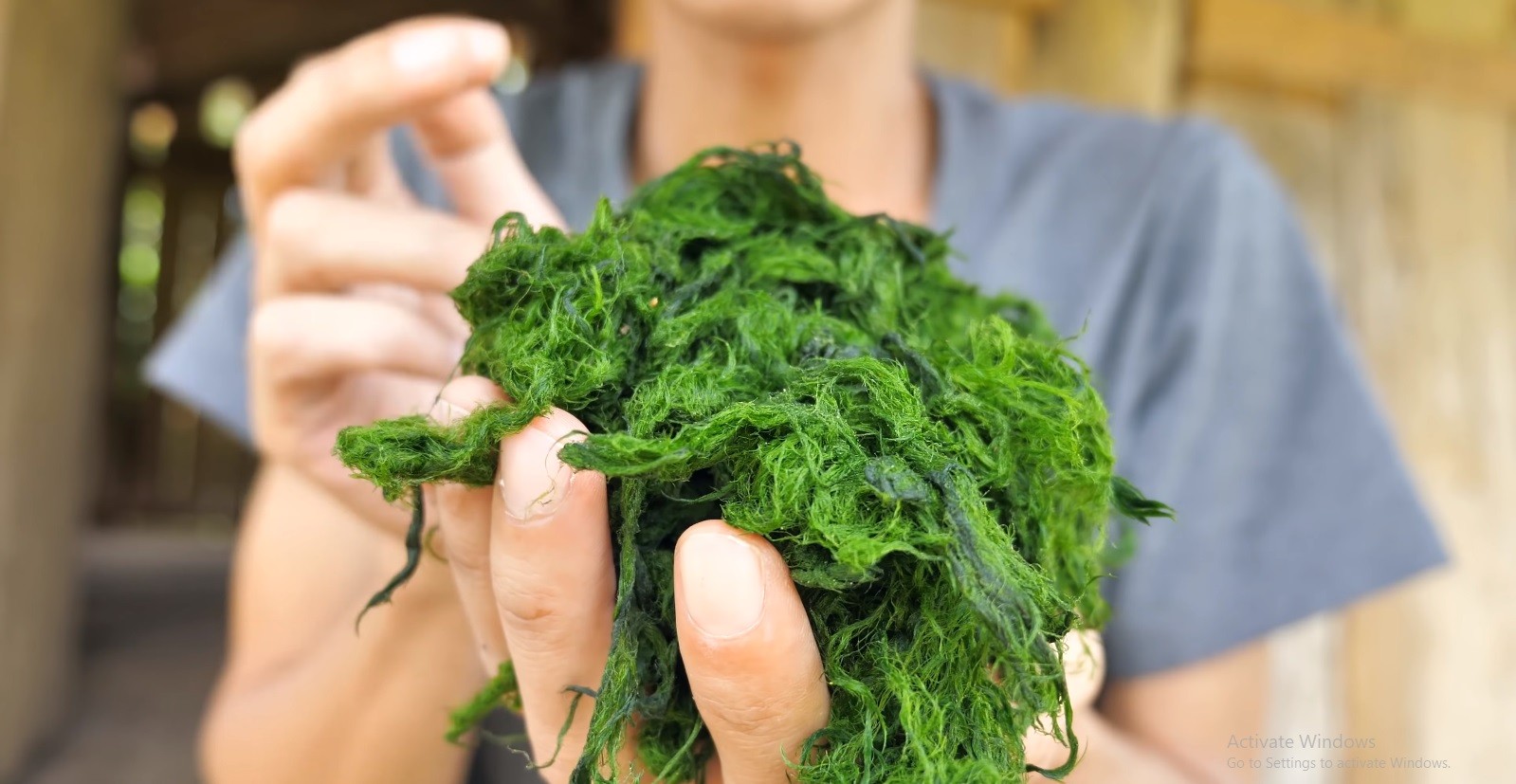 Thứ nhớt nhớt này đem bọc lá chuối nướng trên than hồng thành đặc sản vạn người mê, muốn ăn cũng chẳng có sẵn mà mua