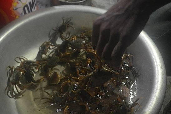 Giá cua đá dao động từ 120.000 - 150.000 đồng/kg tùy theo loại to hay nhỏ.