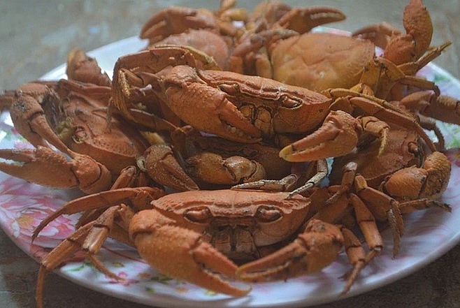 Cua đá ăn côn trùng và lá rừng nên thịt cua ngon, ngọt, chắc có vị hấp dẫn riêng. Cua đá thường được rang muối, nướng, hấp bia hấp sả, nấu canh riêu... Ảnh: Hà Thủy