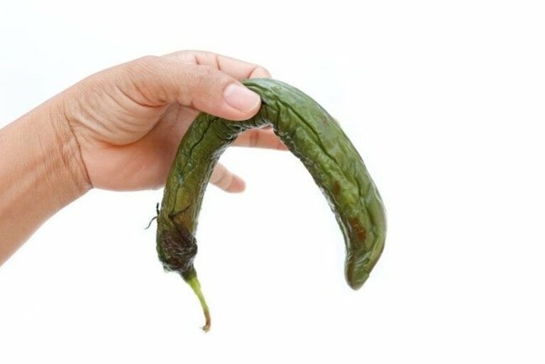 Chữa liệt dương hiệu quả bằng 7 loại thảo dược thiên nhiên ‘bí truyền’ trong dân gian Chữa liệt dương hiệu quả bằng 7 loại thảo dược thiên nhiên ‘bí truyền’ trong dân gian