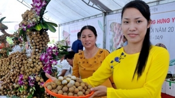 Hưng Yên thúc đẩy xây dựng thương hiệu sản phẩm OCOP