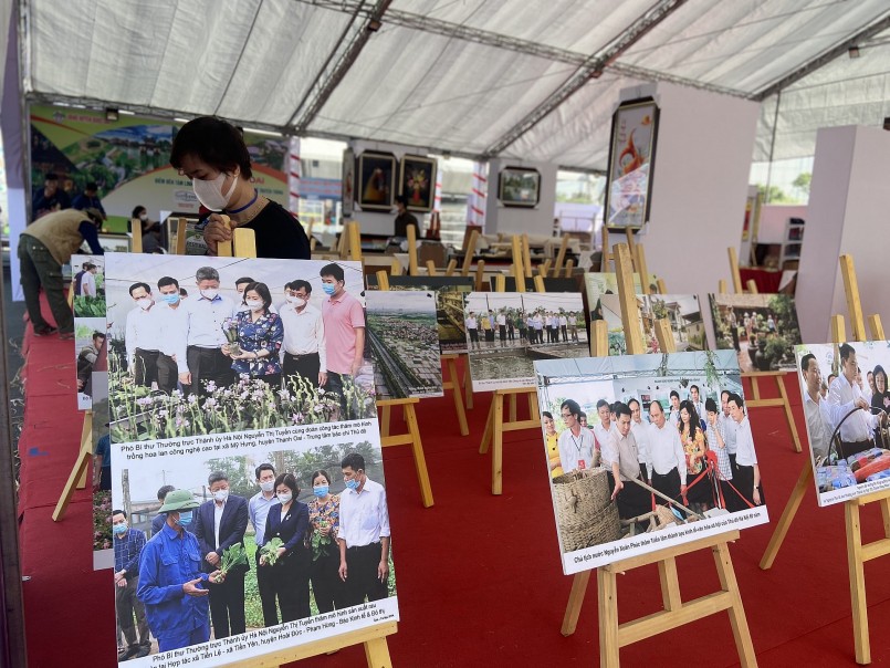 Hình ảnh tại Festival