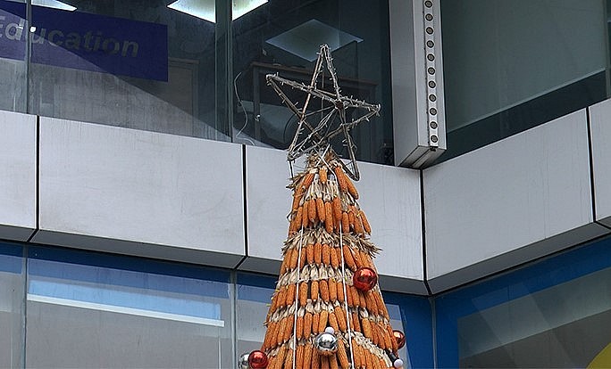 Cây thông noel được làm từ hơn 8.000 bắp ngô màu vàng còn bẹ, đã phơi khô, được đặt mua từ người dân Tây Bắc.