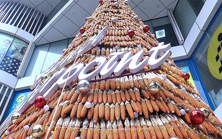 Khi cây thông làm bằng ngô hoàn thành đã thu hút rất nhiều du khách, nhất là các bạn trẻ đến chụp ảnh làm kỷ niệm bên cây thông Noel độc đáo này.