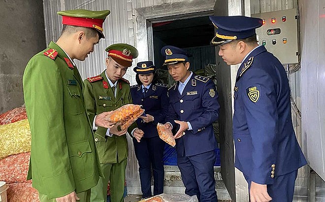 Kiểm tra hàng hóa vi phạm Kiểm tra hàng hóa vi phạm