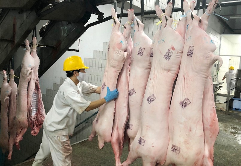 Nguồn cung heo hơi phụ thuộc vào thị trường trong nước, giá heo tại Trung Quốc đang giảm mạnh nên cơ hội xuất khẩu heo không khả quan.