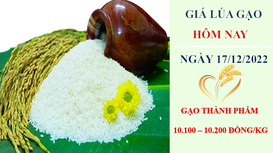 Giá lúa gạo hôm nay 17/12/2022: Thị trường Trung Quốc và Philippines vẫn chuộng gạo Việt dù giá cao