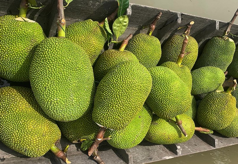 Thị trường mít Thái vẫn còn tiềm ẩn những diễn biến bất ngờ.