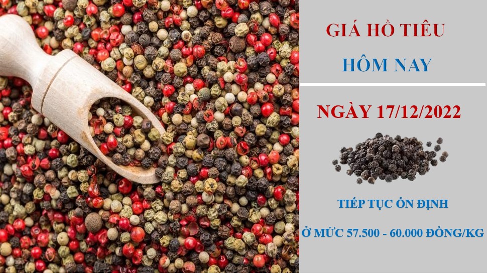 Giá hồ tiêu hôm nay 17/12/2022: không có thay đổi tại các địa phương