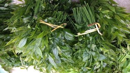 Loại rau có giá đến 200.000 đồng/kg nhưng vẫn luôn cháy hàng