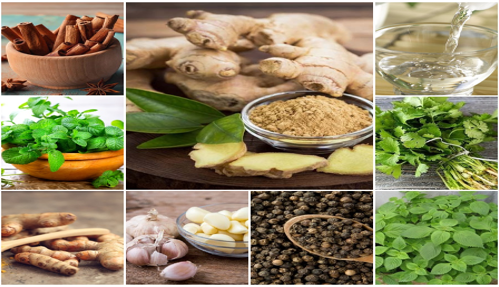 9 gia vị là bậc thầy kéo dài tuổi thọ, có thứ chỉ 1.000 đồng/củ nhưng chữa được nhiều bệnh