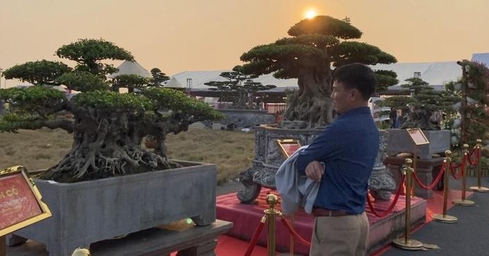 Cây sanh cổ giá trị không chỉ khiến khán giả xem triển lãm trầm trồ mà còn khiến dân mạng xuýt xoa không ngớt vì độ tinh tế, kỳ công và giá trị vô cùng đắt đỏ