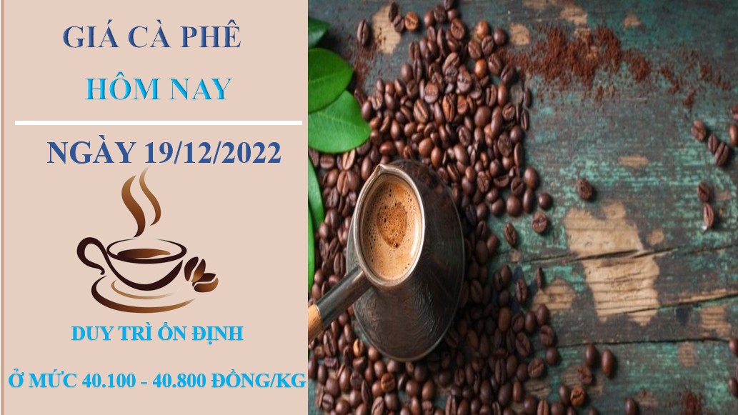 Giá cà phê hôm nay 19/12/2022: Không thay đổi tại các địa phương