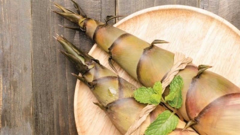 Măng tre là bộ phận thuộc phần cây non 