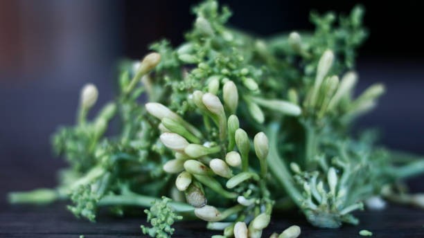 Loại hoa nhỏ xíu có tên dễ nghe