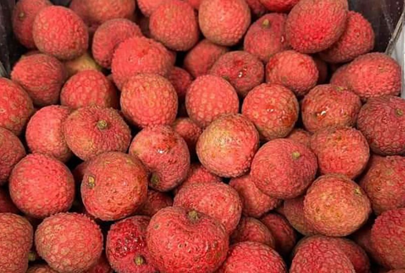 Vải thiều Úc được người tiêu dùng thích thú vì trái mùa Vải thiều Úc được người tiêu dùng thích thú vì trái mùa