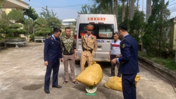 Quảng Ninh: Phát hiện, buộc tiêu hủy gần 133kg nội tạng lợn đang bốc mùi