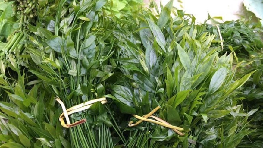 Những loại rau đắt hơn cả cá thịt vẫn được "săn lùng" vì ngon lạ miệng