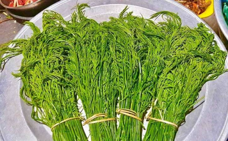 Những loại rau đắt hơn cả cá thịt vẫn được săn lùng vì ngon lạ miệng Những loại rau đắt hơn cả cá thịt vẫn được săn lùng vì ngon lạ miệng