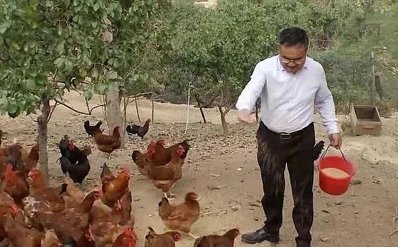 Hiện trang trại nuôi gà lười cho doanh thu khoảng 169 tỷ/năm.