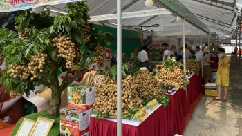 Hưng Yên phấn đấu đến năm 2030 100% sản phẩm OCOP có dữ liệu truy xuất nguồn gốc