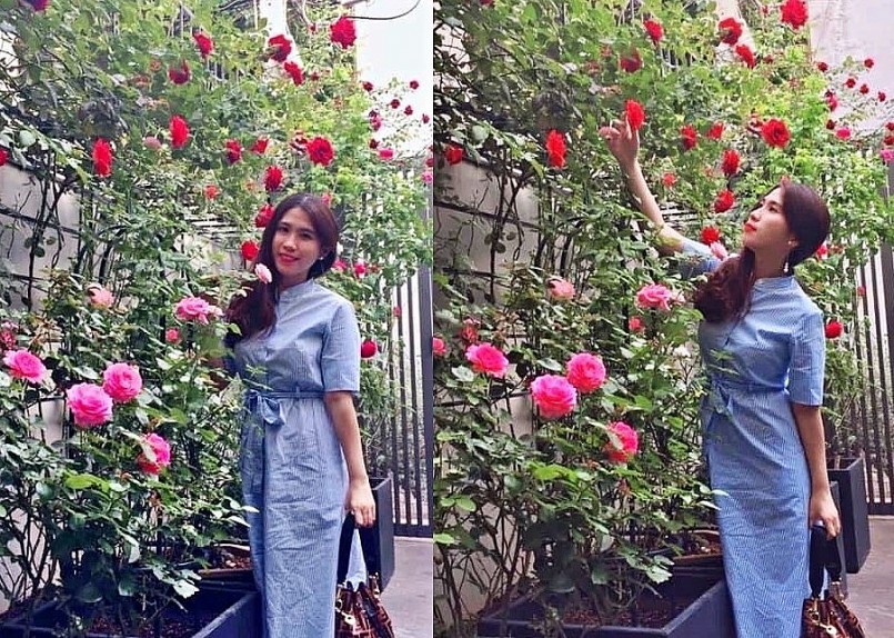 Khu vườn đã thỏa mãn niềm yêu hoa hồng của chị Trang, vợ anh Đức.