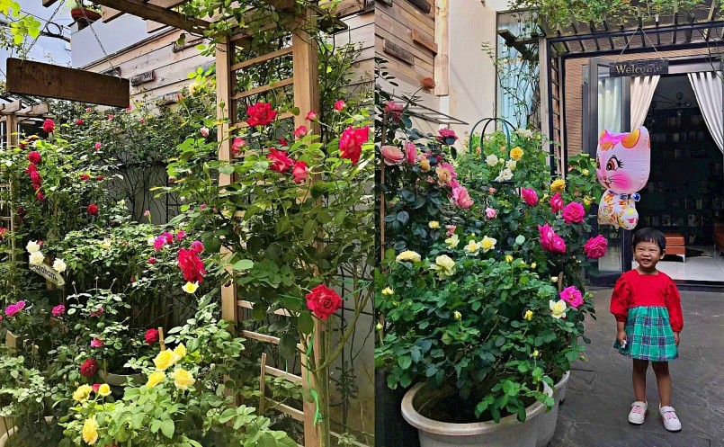 Khu vườn hồng cũng là nơi vui chơi, gắn kết tình thân của các thành viên gia đình Đức.