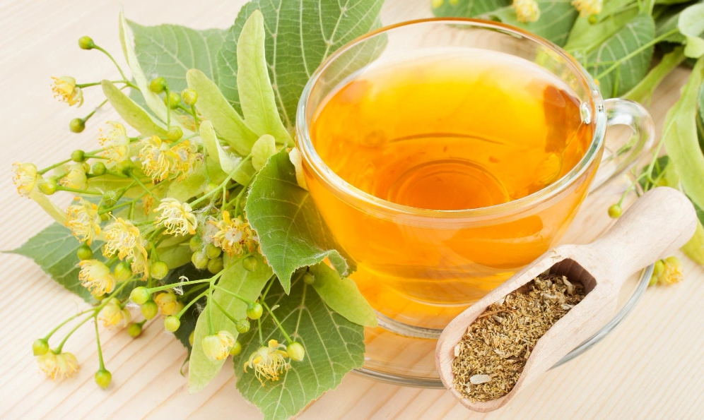 Gợi ý một số loại trà thảo dược có khả năng giảm stress, giúp ngủ ngon