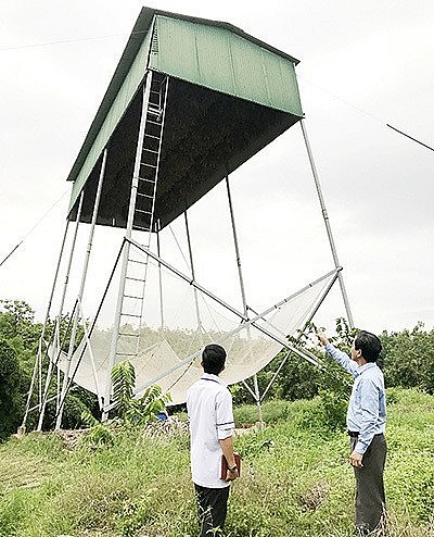Chòi nuôi dơi nhà ông Nguyễn Văn Sáu (ngụ xã Phú Lý, huyện Vĩnh Cửu, tỉnh Đồng Nai). Ảnh: Phương Liễu
