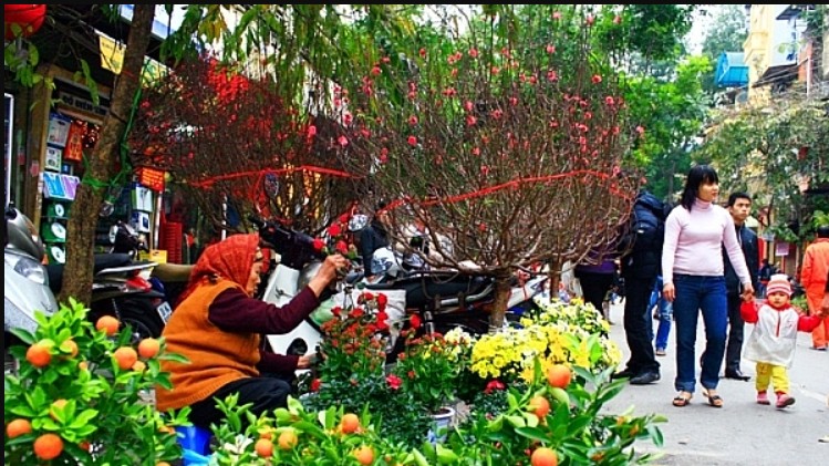 Hà Nội lên kế hoạch tổ chức 91 điểm chợ hoa xuân trong dịp Tết 2023