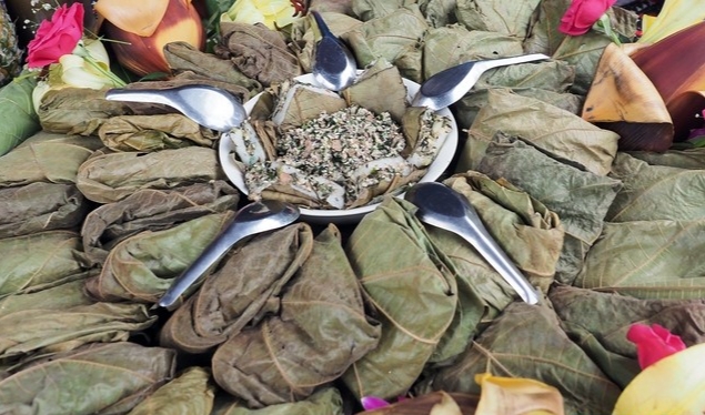 người Tày không sử dụng lá chuối hay lá dong, mà dùng lá ngóa (lá vả) loại bánh tẻ không quá non hay quá già để gói bánh người Tày không sử dụng lá chuối hay lá dong, mà dùng lá ngóa (lá vả) loại bánh tẻ không quá non hay quá già để gói bánh