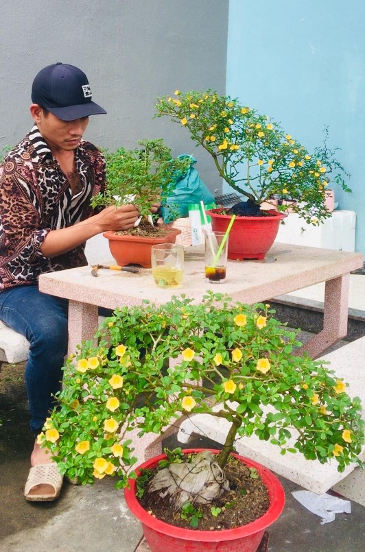 Anh Hiếu có thêm tiền triệu nhờ trồng hoa ké