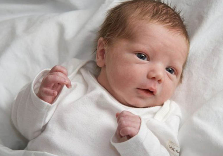 Loại rau trồng dễ như cỏ, không chỉ dùng làm gia vị mà còn là vị thuốc tốt cho sức khỏe